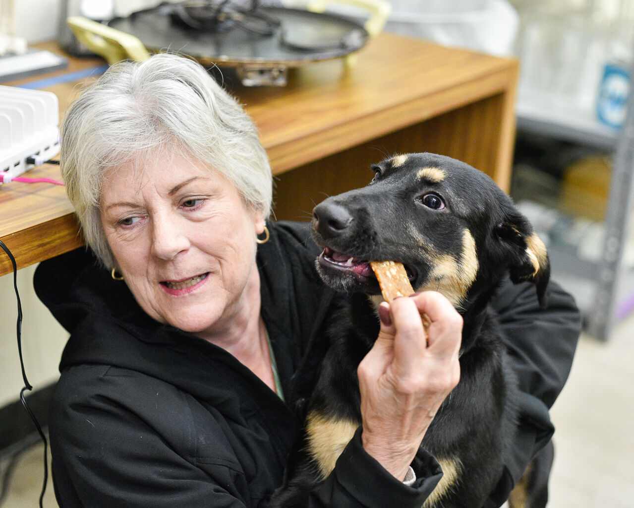 Doggy grandma